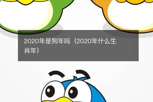<i><strong>2020年是狗年吗（2020年什么生肖年）</strong></i>