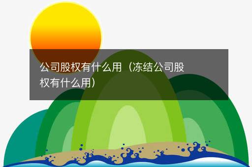 公司股权有什么用（冻结公司股权有什么用）