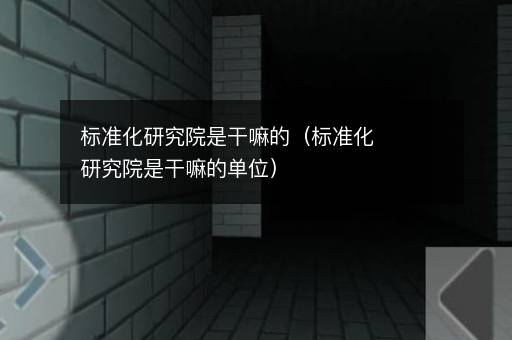 标准化研究院是干嘛的（标准化研究院是干嘛的单位）