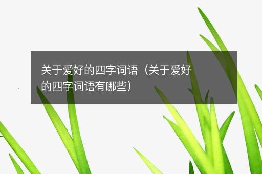 关于爱好的四字词语（关于爱好的四字词语有哪些）